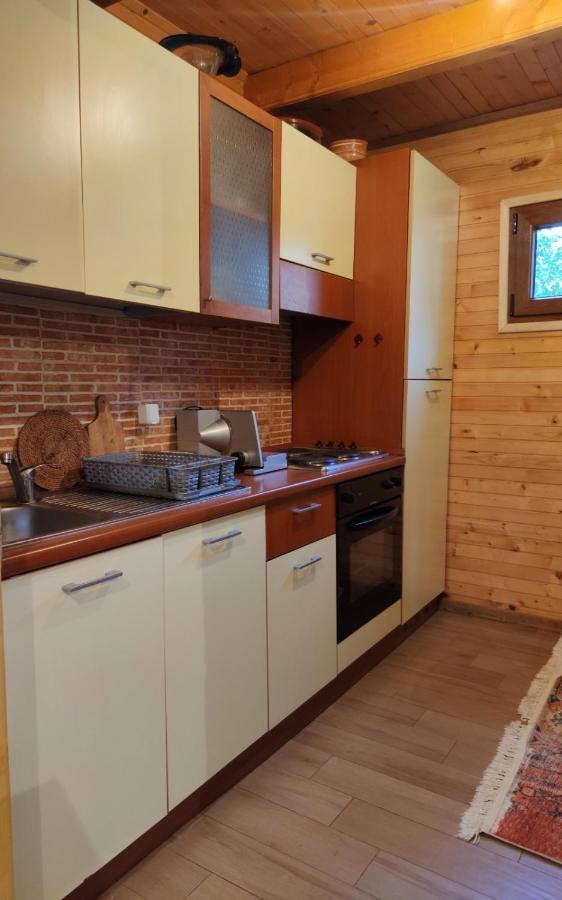 Guesthouse Mg Zabljak  Bagian luar foto